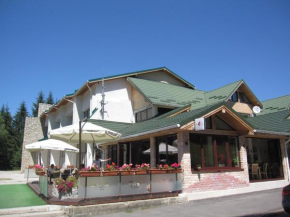 Отель Vila Roxy, Брашов